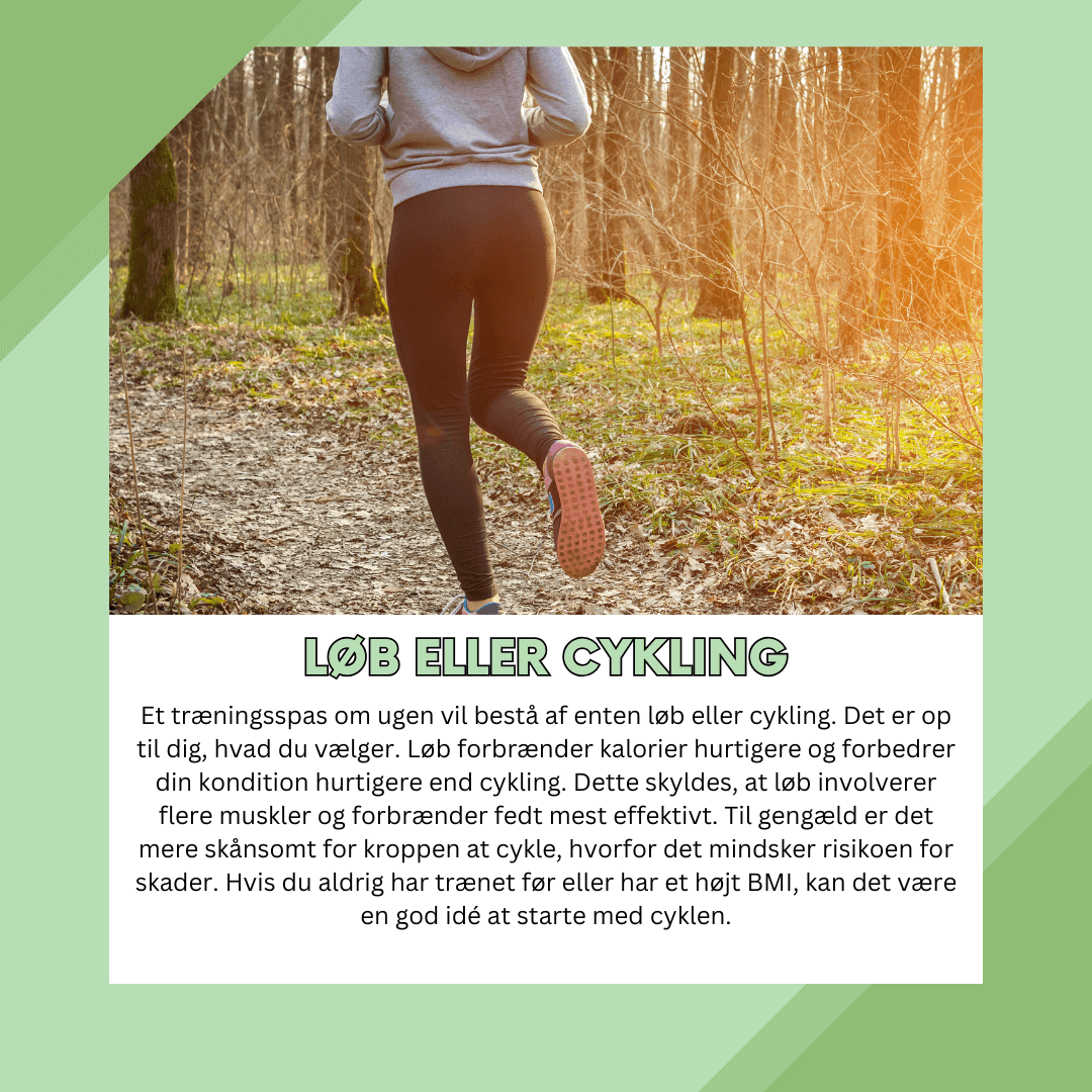 6-ugers Kalorieforbrænding