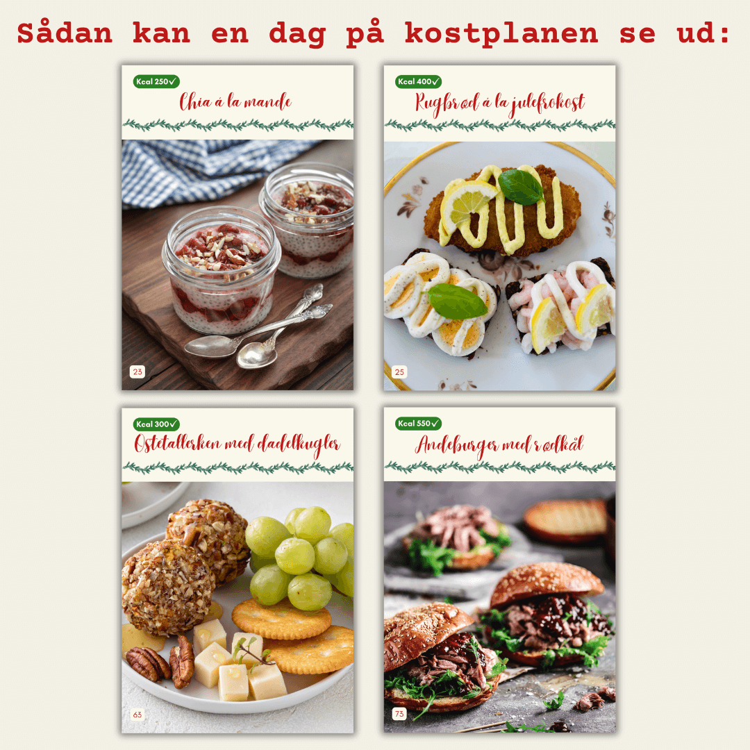 20-Dages Julekostplan