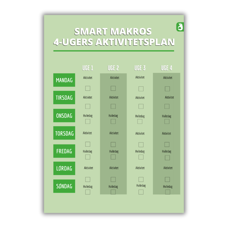Aktivitetsplan